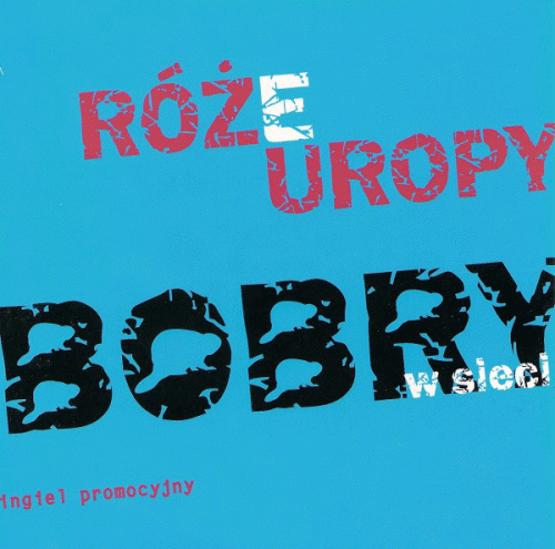 Róże Europy : Bobry W Sieci